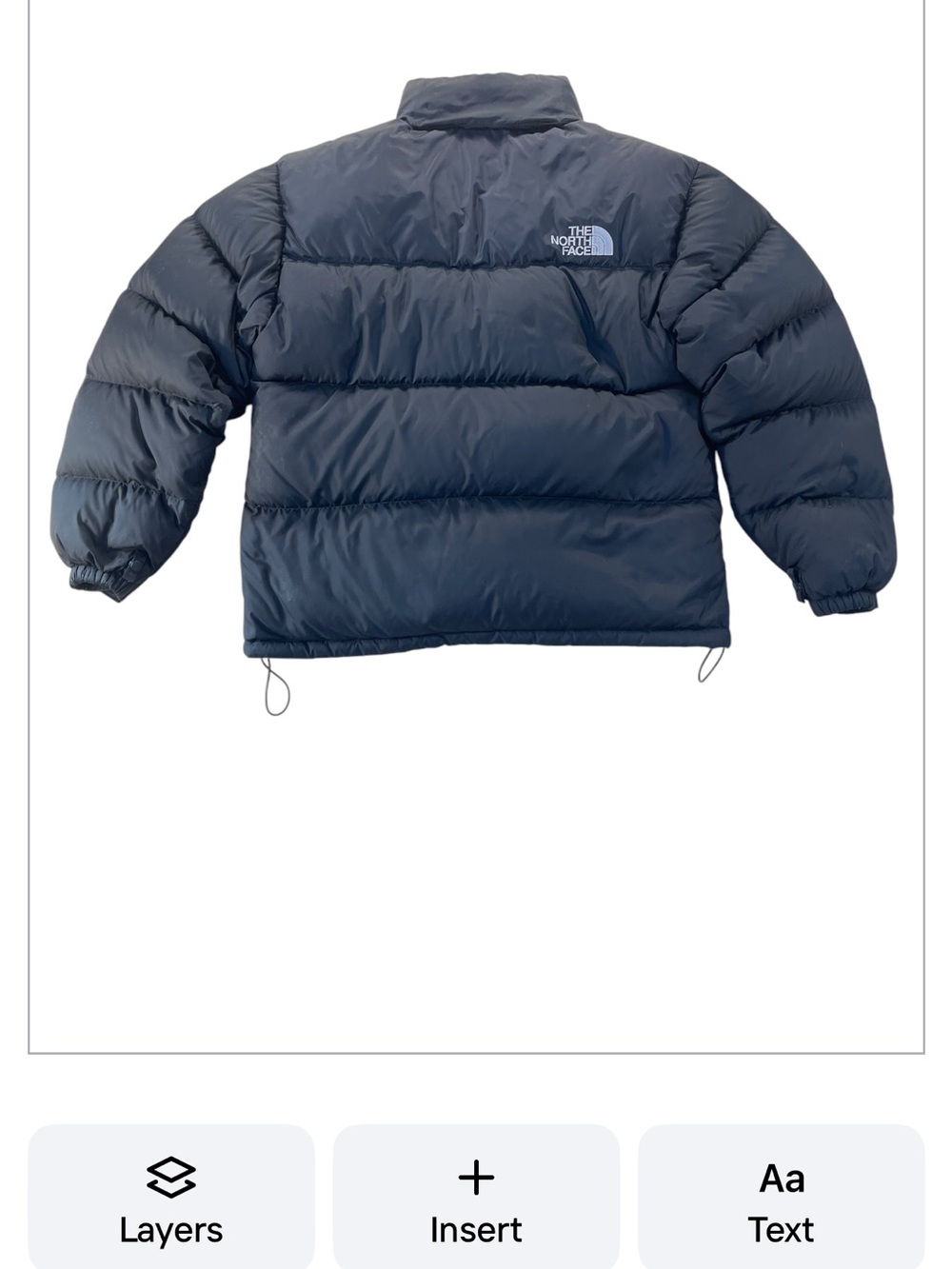 The North Face Nuptse Retro 1996 Black Hooded Puffer Jacket - Picture 4 of 5